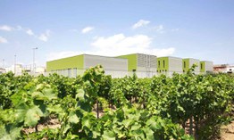 Foto 5 des Projekts Personalisierte Textur in Blattform für CEIP ROSSEND MONTANÉ