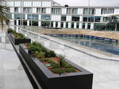 Photo #1 of project To get to the top, pay attention to those who make it the farthest