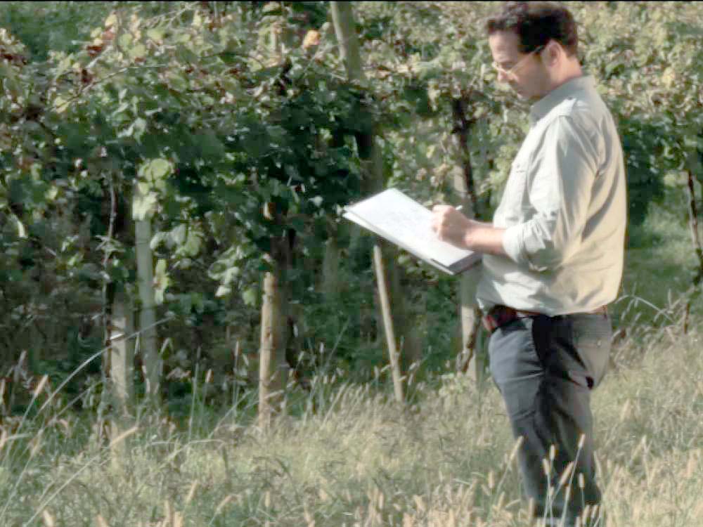 Endless possibilities to customise an architectural project Endless possibilities to customise an architectural project