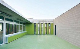 Photo #3 of project Vineyard texture and color for:  School ROSSEND MONTANÉ