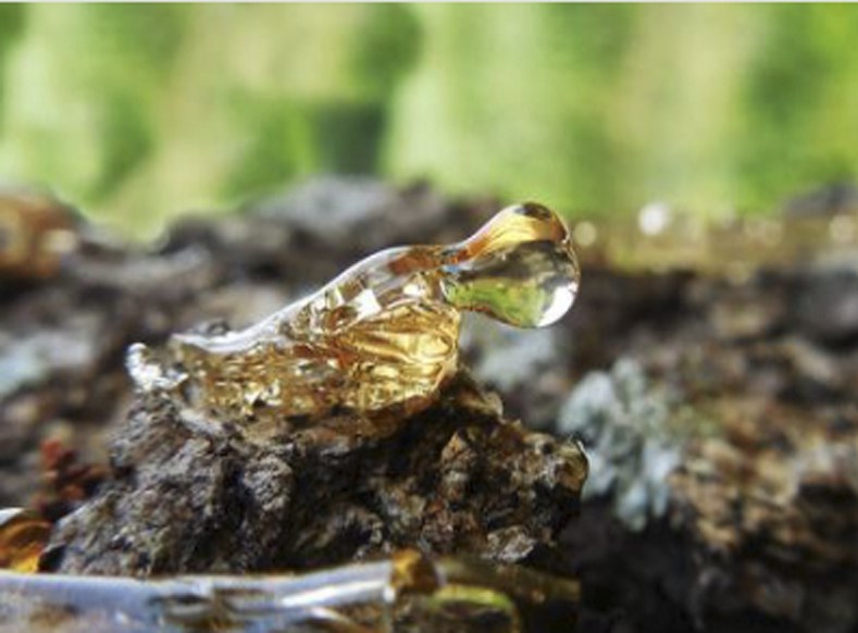 Reclycled resin to manufacture ULMA trench drain