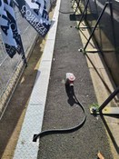 Photo #5 of project Amédée Domenech Stadium in France: the importance of what is not seen