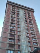 Photo #4 of project A tall challenge