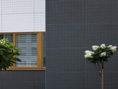 Photo #4 of project Could we consider the renovation of a facade as a creative activity?