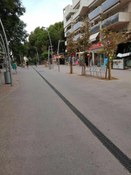 Foto 1 del proyecto La importancia de preguntar