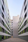 Foto 5 del proyecto El color marca la diferencia
