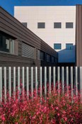 Foto 4 del proyecto Estética rotunda en el Centro APANID en Getafe