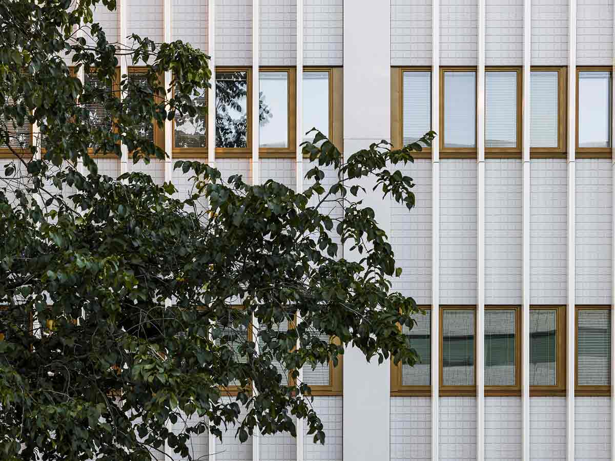 Foto 1 del proyecto ¿Podemos considerar la rehabilitación de una fachada como creativa?
