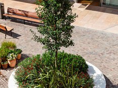Foto 6 del proyecto Revestimiento de bancos a medida para el Centro Comercial Viladecans