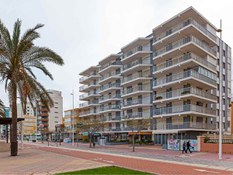 Foto 2 del proyecto ¿Qué nos hace repetir?