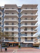 Foto 3 del proyecto ¿Qué nos hace repetir?