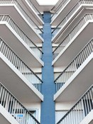 Foto 5 del proyecto ¿Qué nos hace repetir?