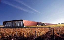 Foto 1 del proyecto Proyecto de drenaje en Bodegas Portia