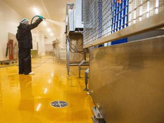 CAMPOFRIO  egoitzan altzairu herdoilgaitzezko drainatze industrial gama proiektuko 1. argazkia