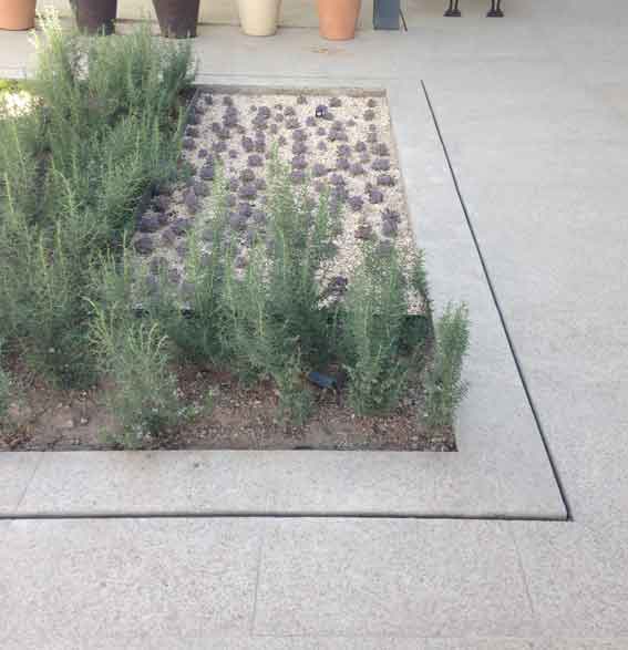 Sareta Artekatua Plaza Mayor merkataritza gunean, Mexikon proiektuko 3. argazkia
