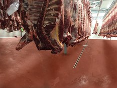 ULMA drainatze herdoilgaitza Càrniaren lantegi berrian, Mercabarnan proiektuko 2. argazkia