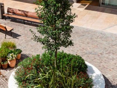Banku bereziak Viladecanseko Outlet Zentroan, Bartzelonan proiektuko 6. argazkia