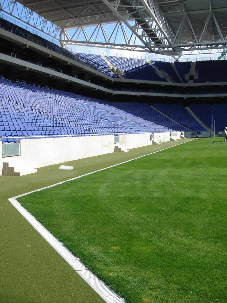 Photo 3 du projet Terrains de football avec gamme Sport - Équipe Espanyol