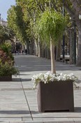 Foto n. 4 del progetto Drenaggio invisibile ULMA in Avda Alfonso X el Sabio, Murcia-Spagna