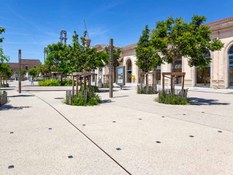 Foto n. 1 del progetto Fiducia e tranquillità