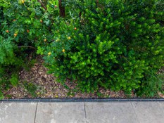 Foto 3 do projeto O visível e o invisível