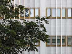 Foto 2 do projeto Podemos considerar a reforma de uma fachada como uma ação criativa?